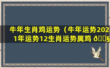 牛年生肖鸡运势（牛年运势2021年运势12生肖运势属鸡 🐧 ）